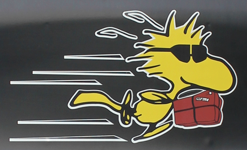 logo.gif